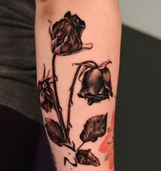 Black and Grey Dead Roses Forearm Tattoo