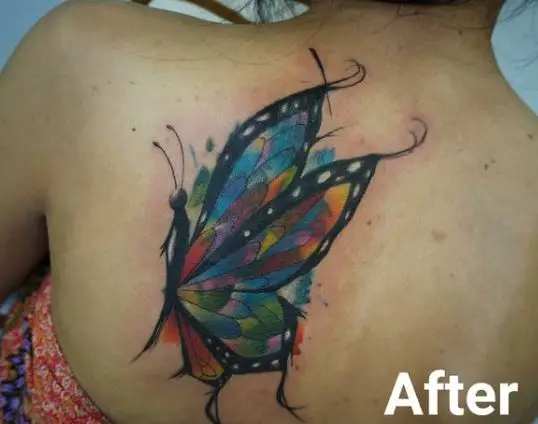 Colored Butterfly Back Tattoo
