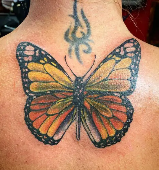 Orange Butterfly Neck Tattoo