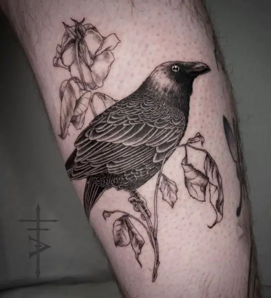 Black and Grey Crow and Dead Rose Tattoo