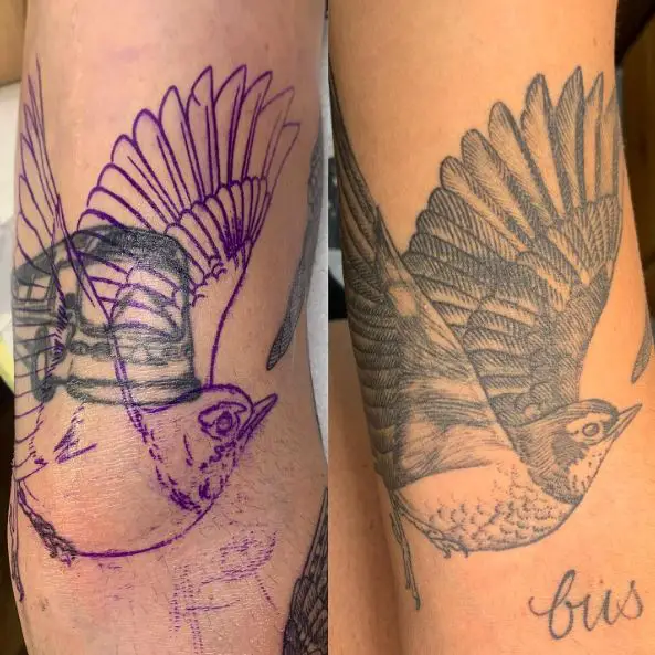 Grey Flying Bird Arm Tattoo