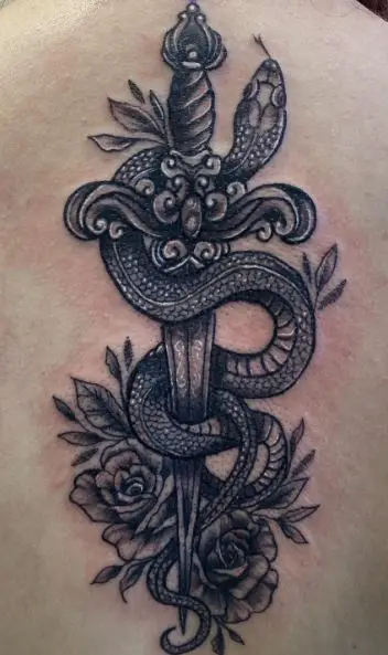 Black and Grey Snake and Dagger with Roses Back Tattoo