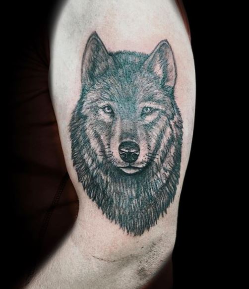 Grey Realistic Wolf Head Arm Tattoo