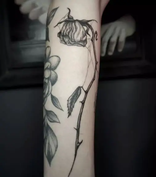 Spider Web on Dead Rose with Thorns Arm Tattoo