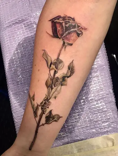 Dying Red Rose with Withered Leaves Tattoo