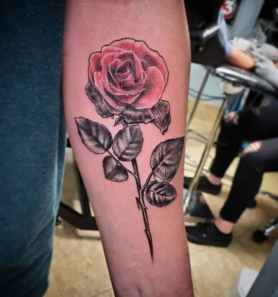 Dying Red Rose with Forearm Tattoo