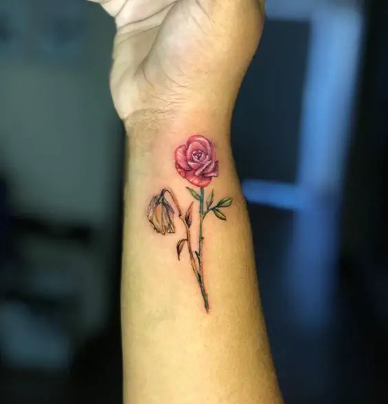 Red Rose and Dead Yellow Rose Forearm Tattoo