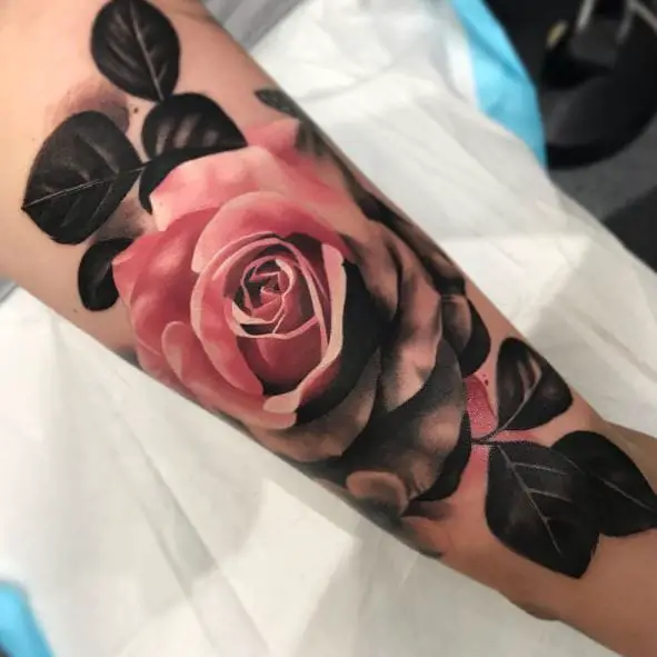 Pink Rose with Dark Leaves Arm Tattoo
