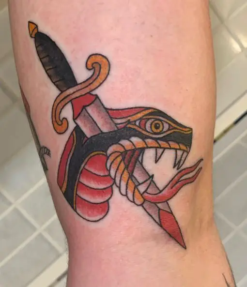 Traditional Snake Head Pierced by Dagger Tattoo
