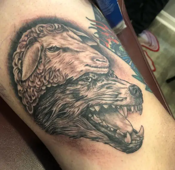Black and Grey Wolf with Sheep Clothing Leg Tattoo