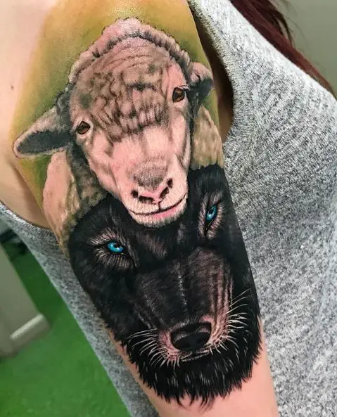 Colored Wolf with Sheep Clothing Arm Tattoo