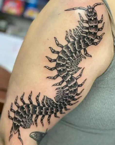 Black and Grey Centipede Arm Tattoo