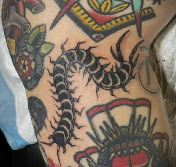 Black and Grey Centipede Bug Tattoo