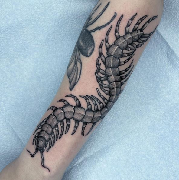 Black and Grey Centipede Forearm Tattoo