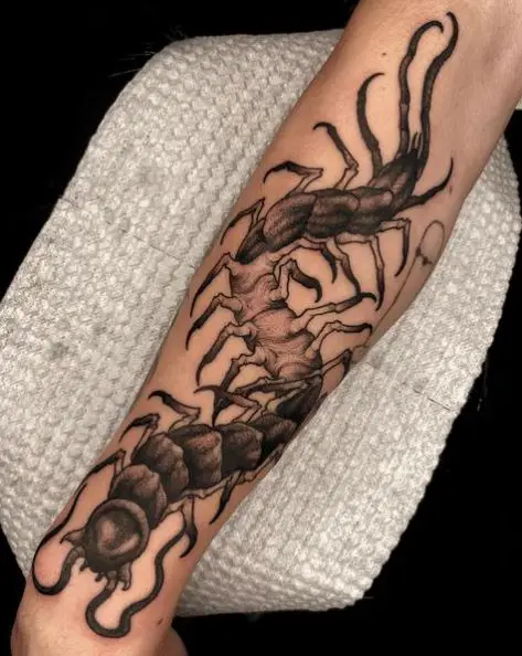 Black and Grey Large Centipede Forearm Tattoo