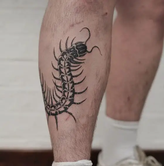 Black and White Centipede Leg Tattoo