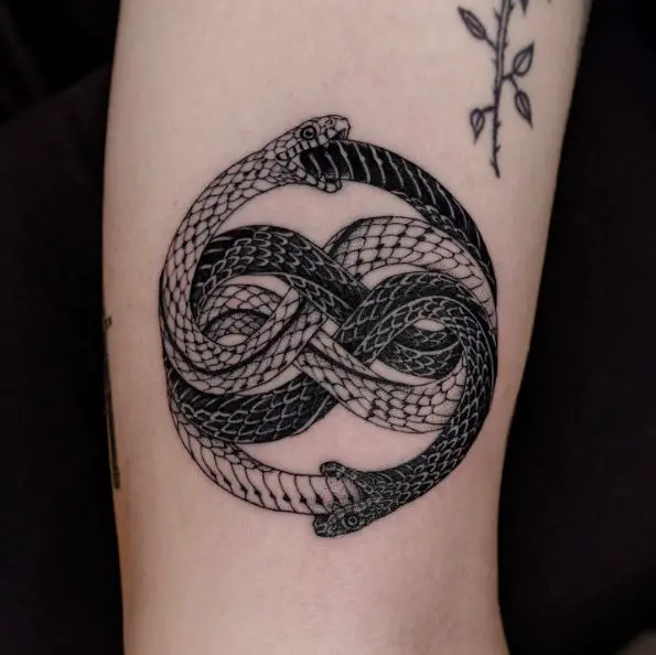 Black and White Twisted Snake Ouroboros Tattoo