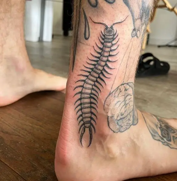 Centipede Ankle Tattoo Piece