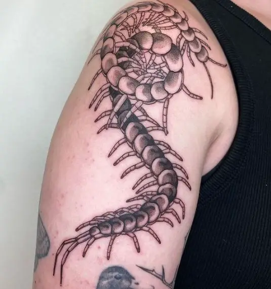 Centipede Bug Arm Tattoo