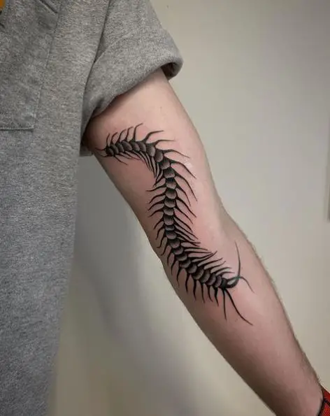 Centipede Insect Arm Tattoo