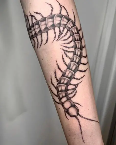 Crawling Grey Shade Centipede Forearm Tattoo