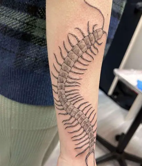 Creepy Crawly Centipede Forearm Tattoo