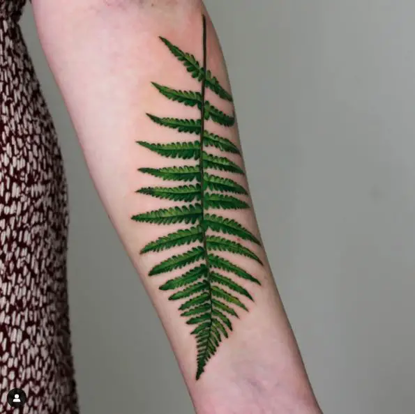 Green Fern Forearm Tattoo Piece