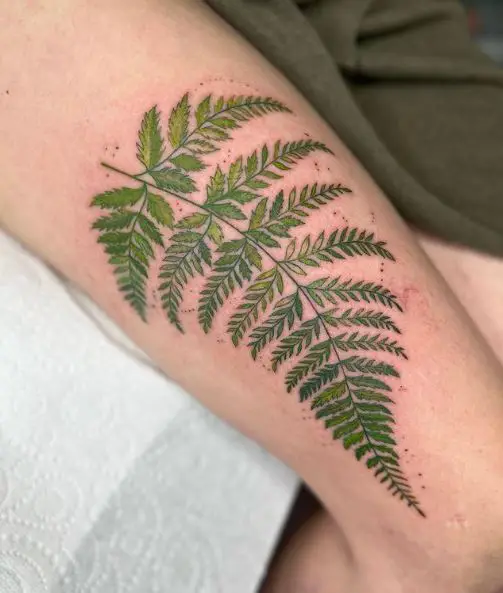 Green Fern Leaves Thigh Tattoo