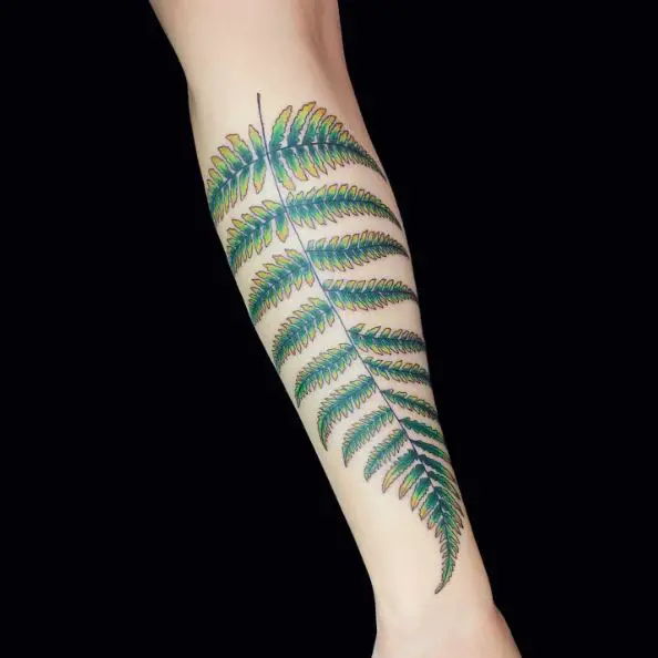 Green and Yellow Fern Forearm Tattoo
