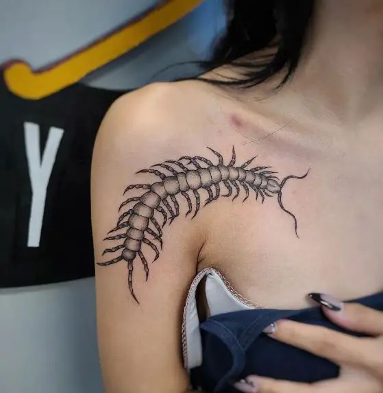 Grey Shade Centipede Tattoo