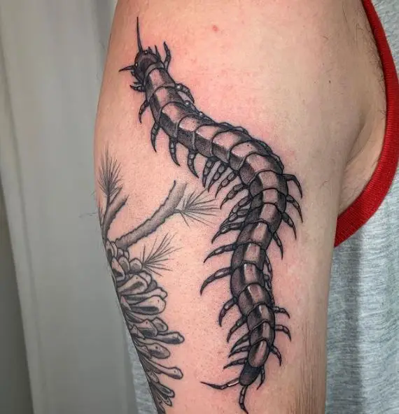 Greyish Centipede Arm Tattoo