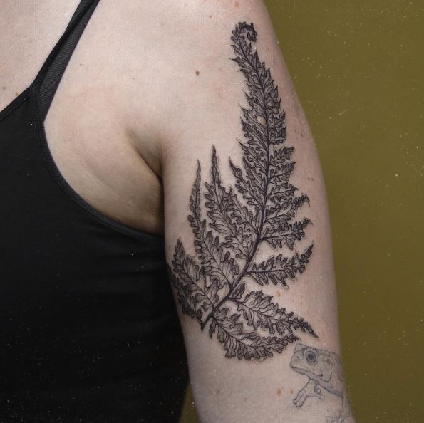 Greyscale Fern Arm Tattoo Piece