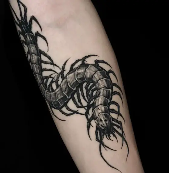 Sketch Style Centipede Forearm Tattoo