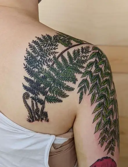 Wrap Around Shoulder Ferns Tattoo