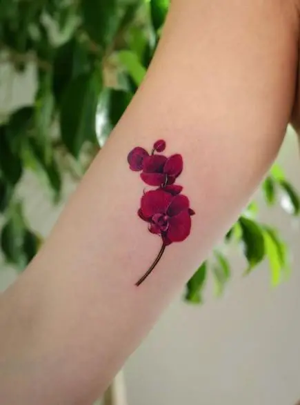 Purple Orchid with Branch Biceps Tattoo