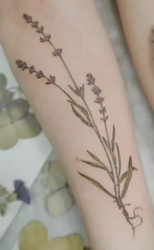Black and Grey Lavender Forearm Tattoo