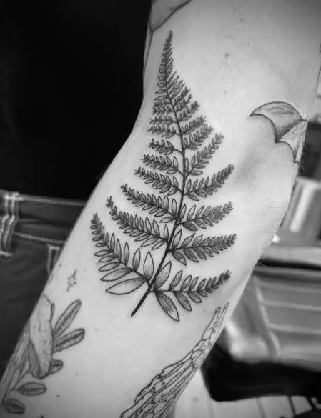 Grey Shaded Fern Arm Tattoo