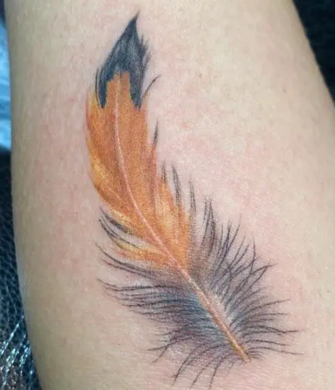 Realistic Colored Feather Arm Tattoo
