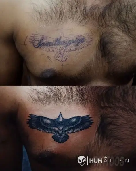 Black Bird Chest Tattoo