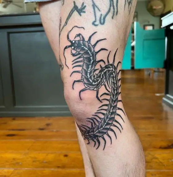Black and Grey Centipede Knee Tattoo Piece