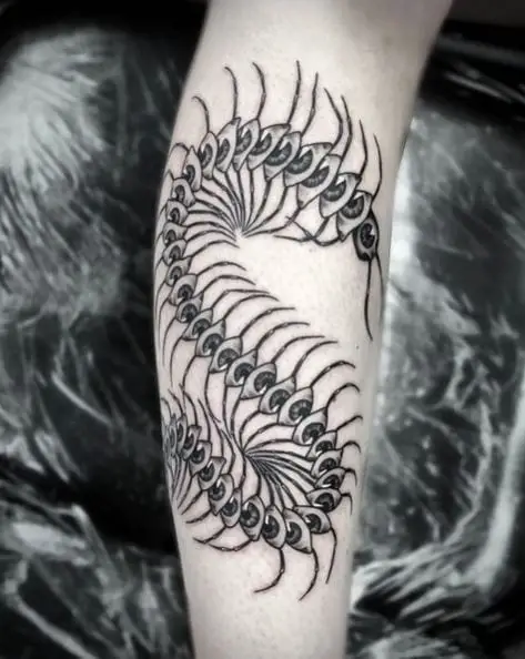 Black and Grey Eyeball Centipede Tattoo