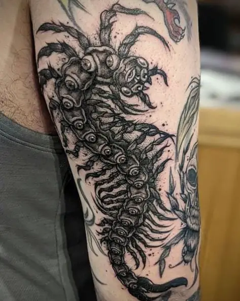 Centipede Gap Filler Tattoo
