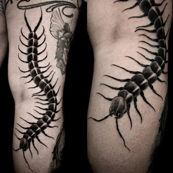 Crawling Black Centipede Thigh Tattoo