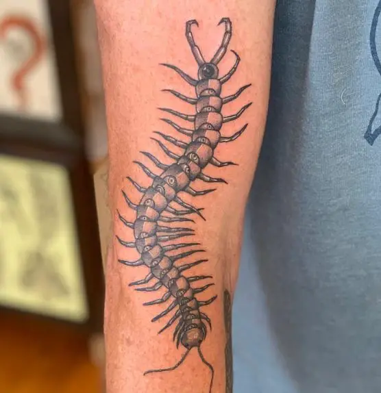 Crawly Eye Ball Centipede Forearm Tattoo