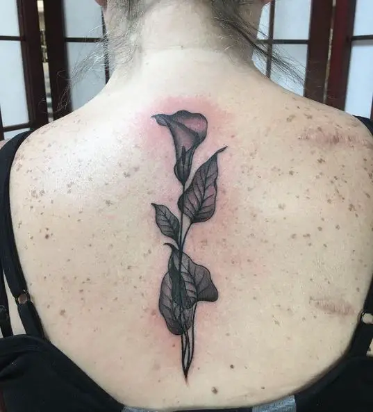 Dark Grey Calla Lily Back Tattoo