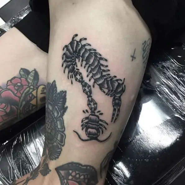 Dark Grey Chainopede Tattoo