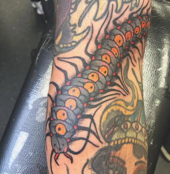 Grey and Orange Centipede Tattoo