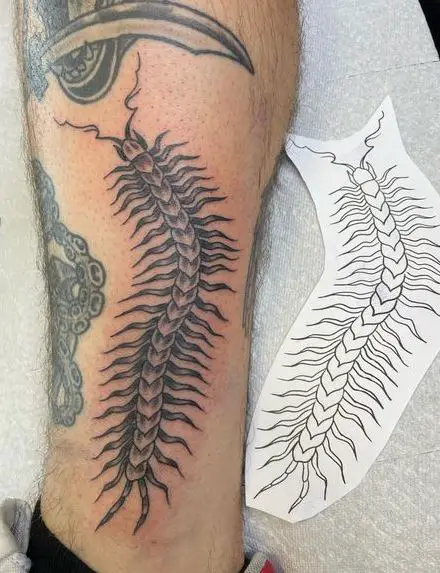 Greyish Crawling Centipede Leg Tattoo