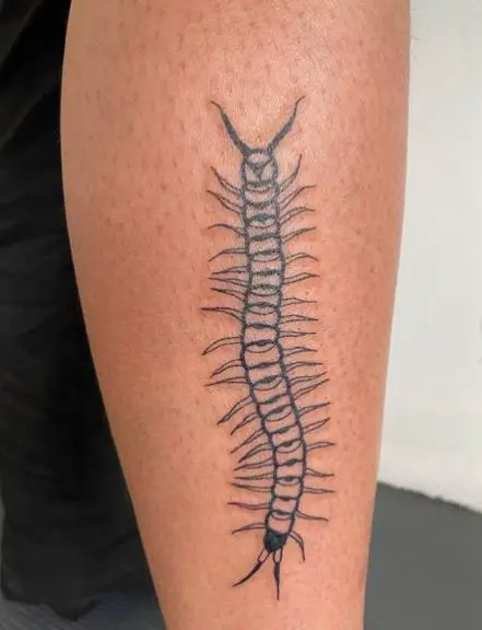 Line Work Centipede Leg Tattoo