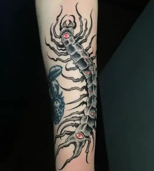 Red Eye Centipede Tattoo